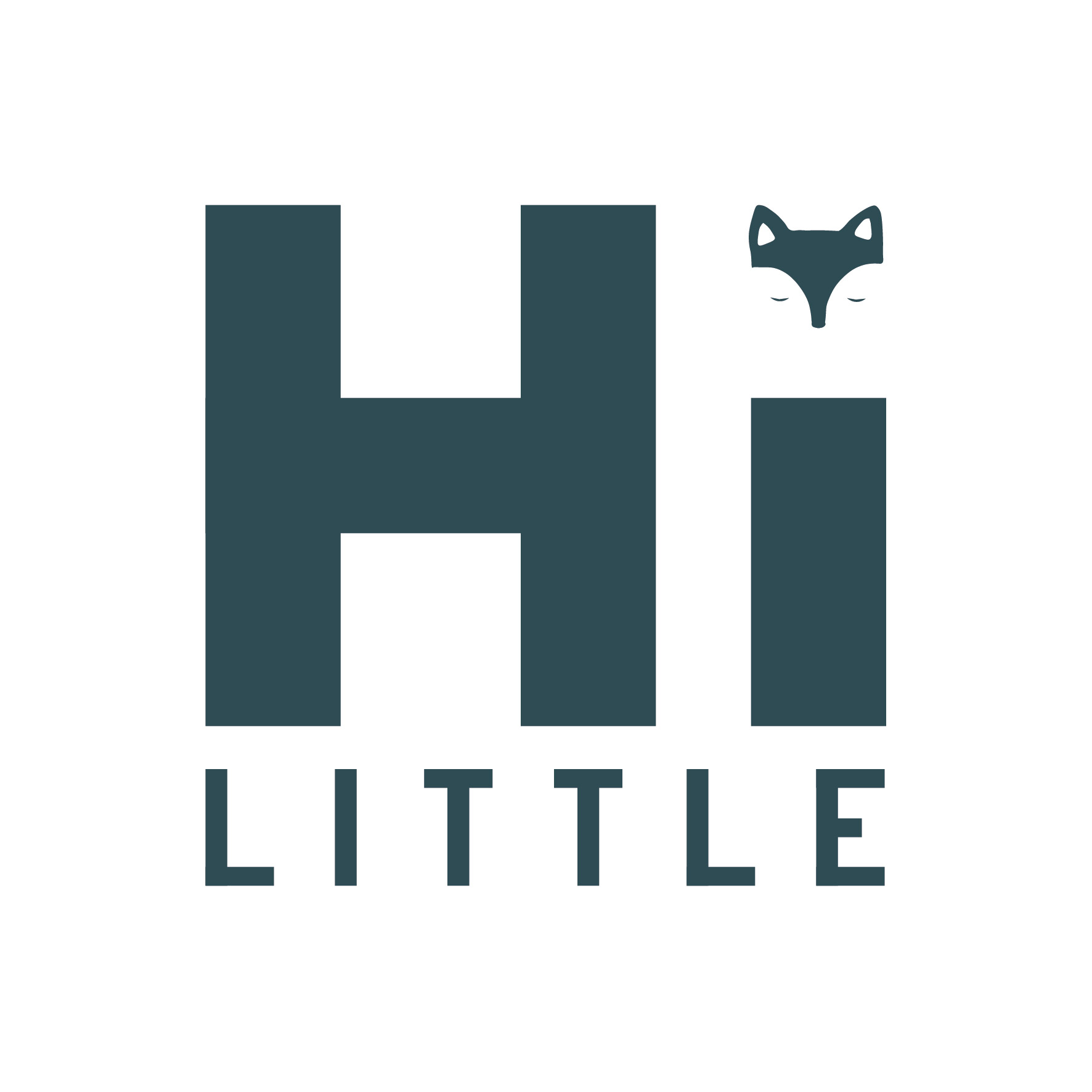 Producent: Hi Little (przejdź do produktów)